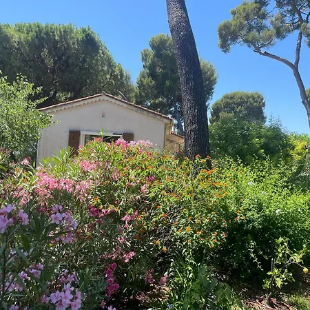 Dans Grand Jardin Provencal 昂蒂布