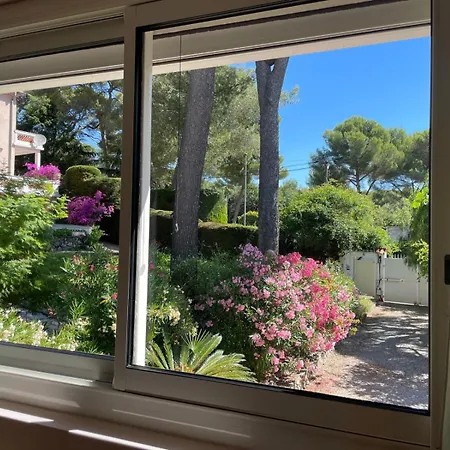 Dans Grand Jardin Provencal *