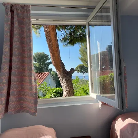 Dans Grand Jardin Provencal 公寓 昂蒂布