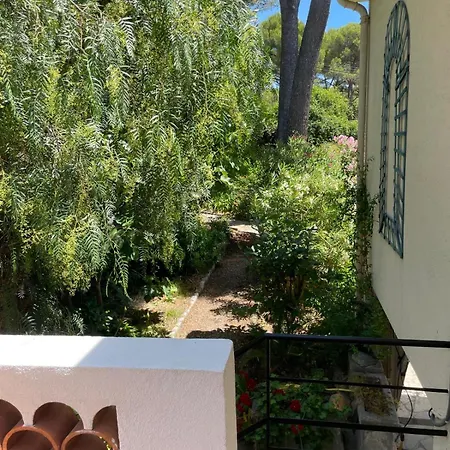 Dans Grand Jardin Provencal